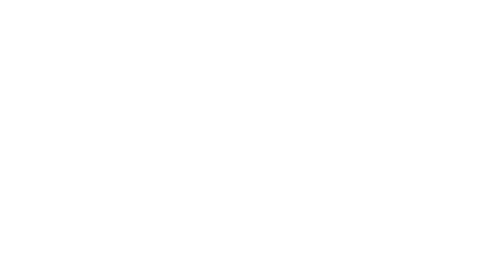 Spree Digital Media Logo transparent